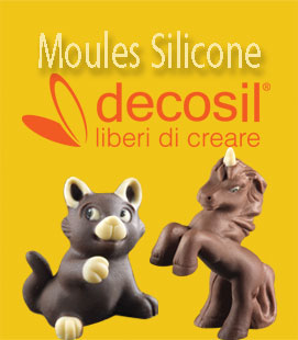 Moules Silicone